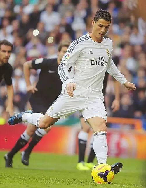 质的全面展 质的全面展