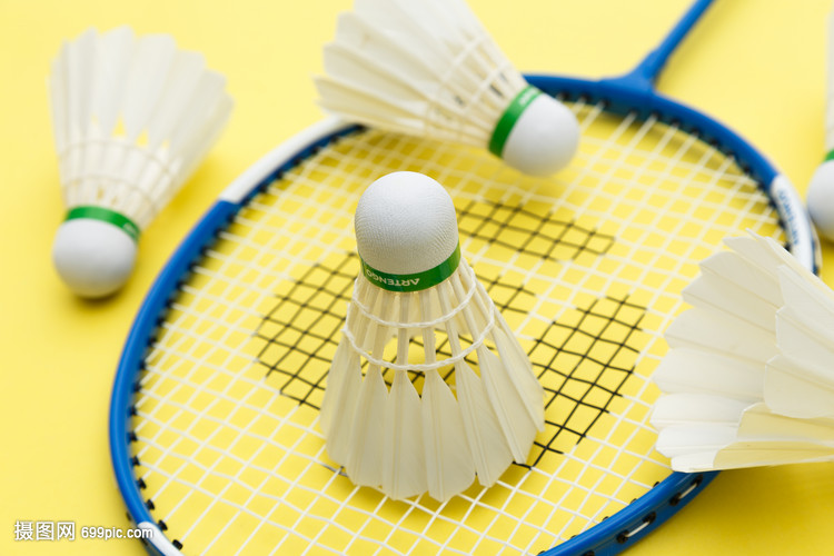 了团队的智 了团队的智