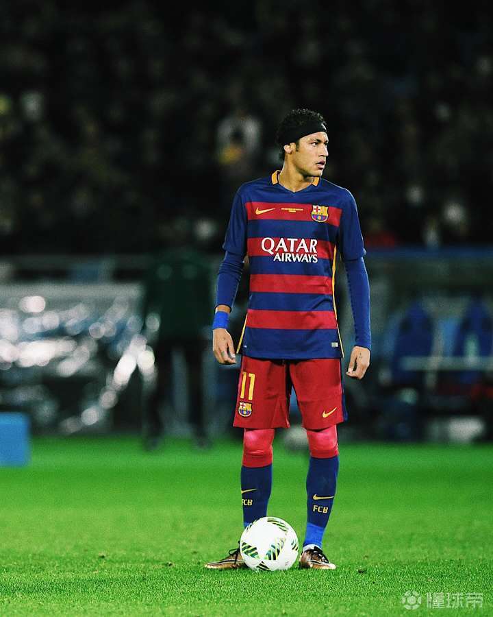 个人职业生 个人职业生